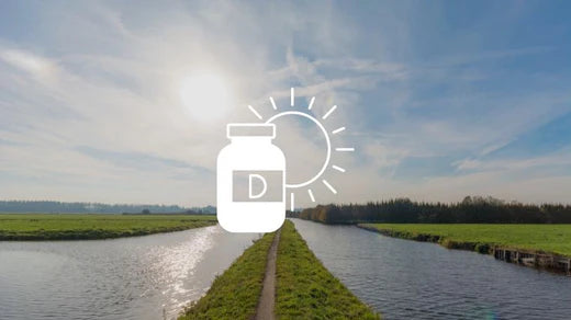 Vitamine D in Nederland